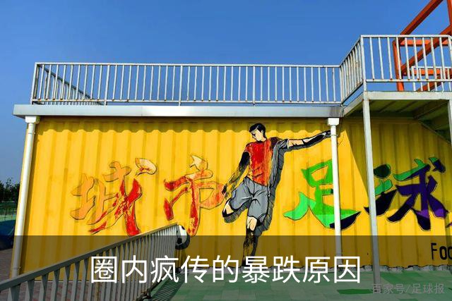 圈内疯传的暴跌原因